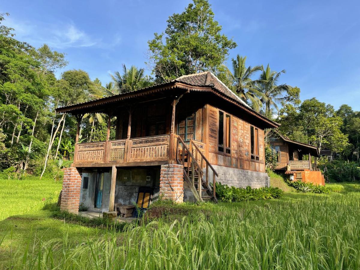 Oemah Tepi Sawah Villa Jatiluwih Exterior photo