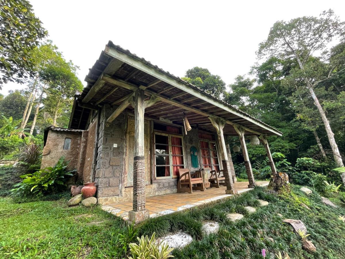 Oemah Tepi Sawah Villa Jatiluwih Exterior photo