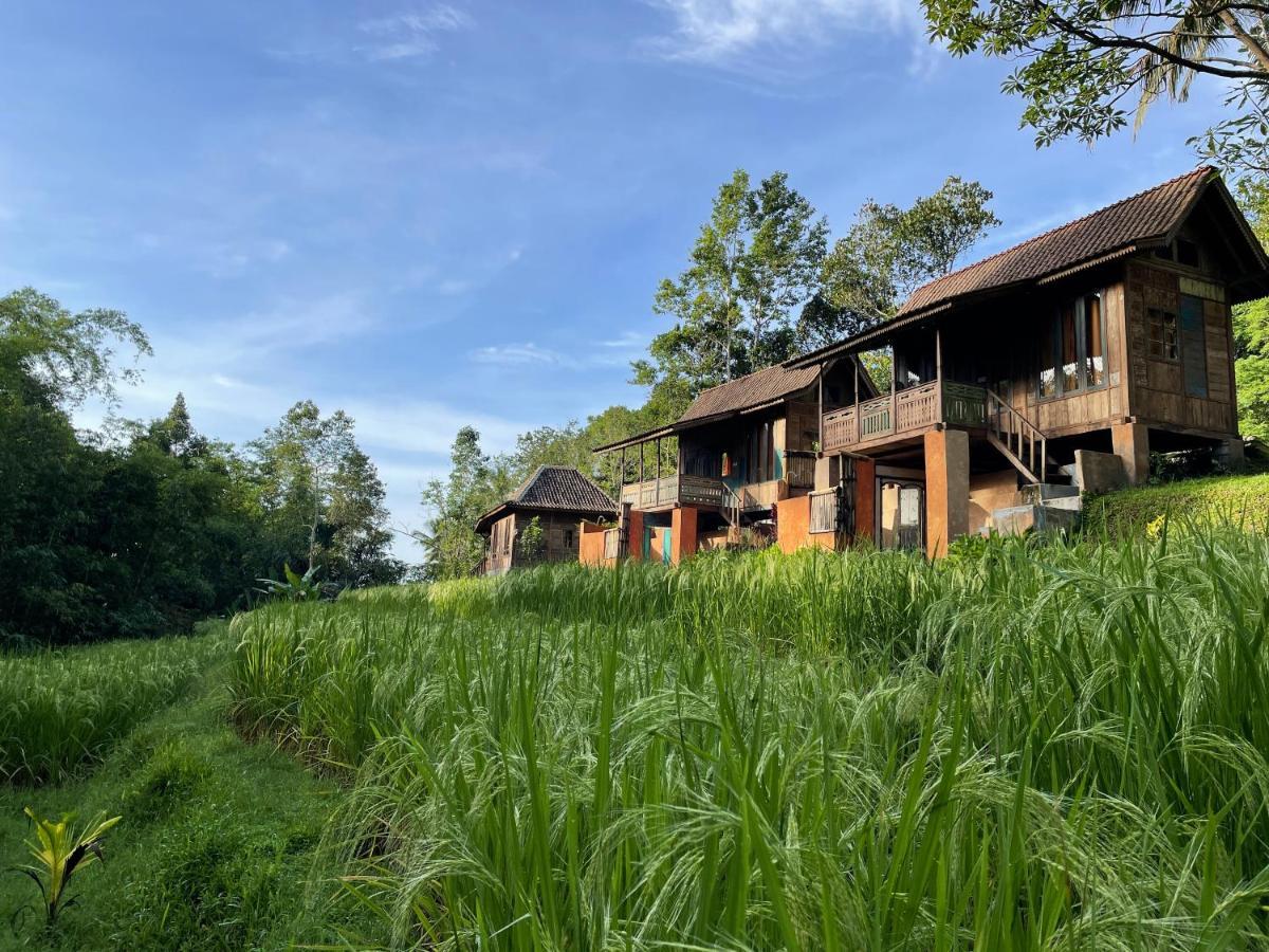 Oemah Tepi Sawah Villa Jatiluwih Exterior photo