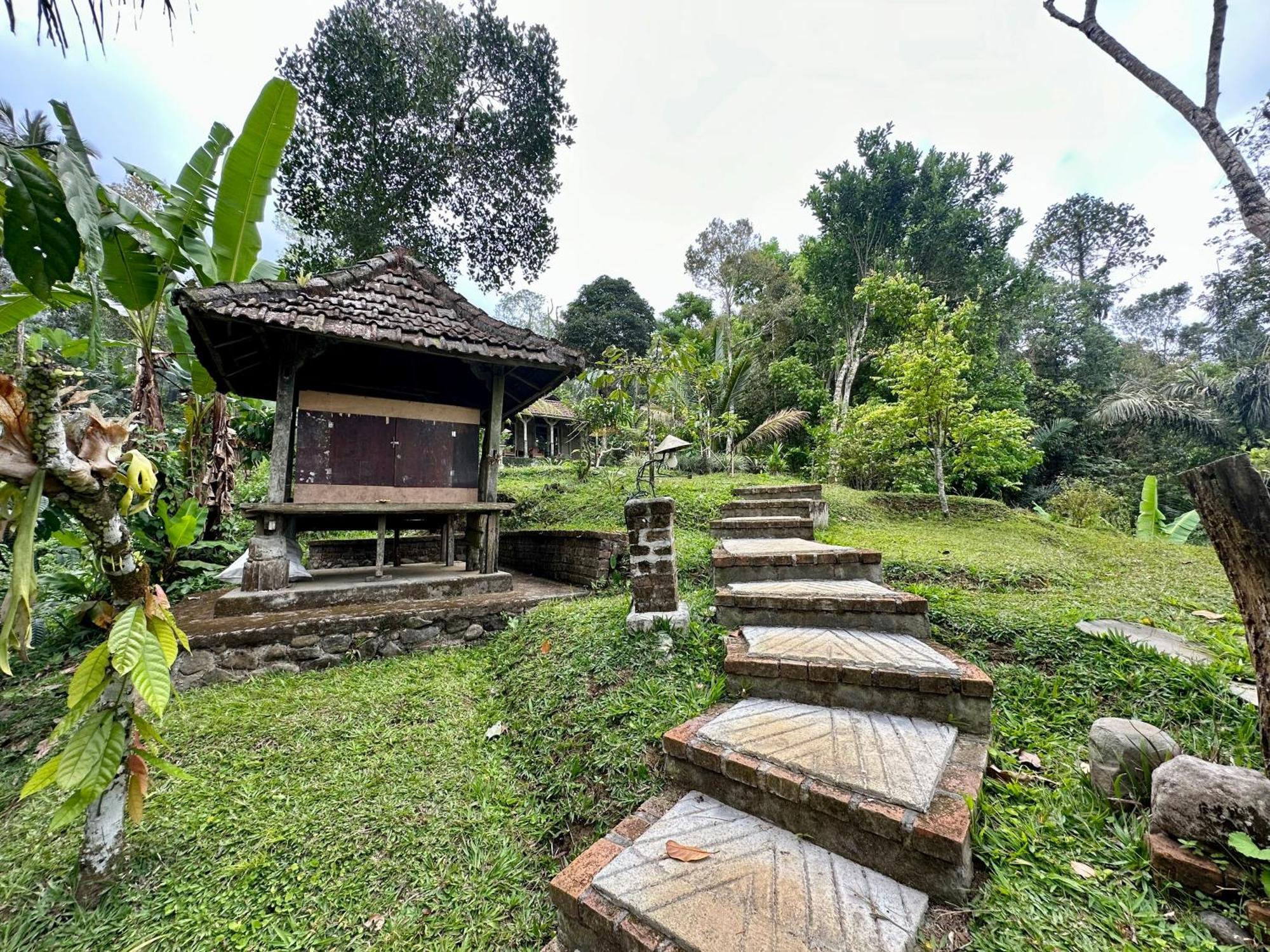 Oemah Tepi Sawah Villa Jatiluwih Exterior photo