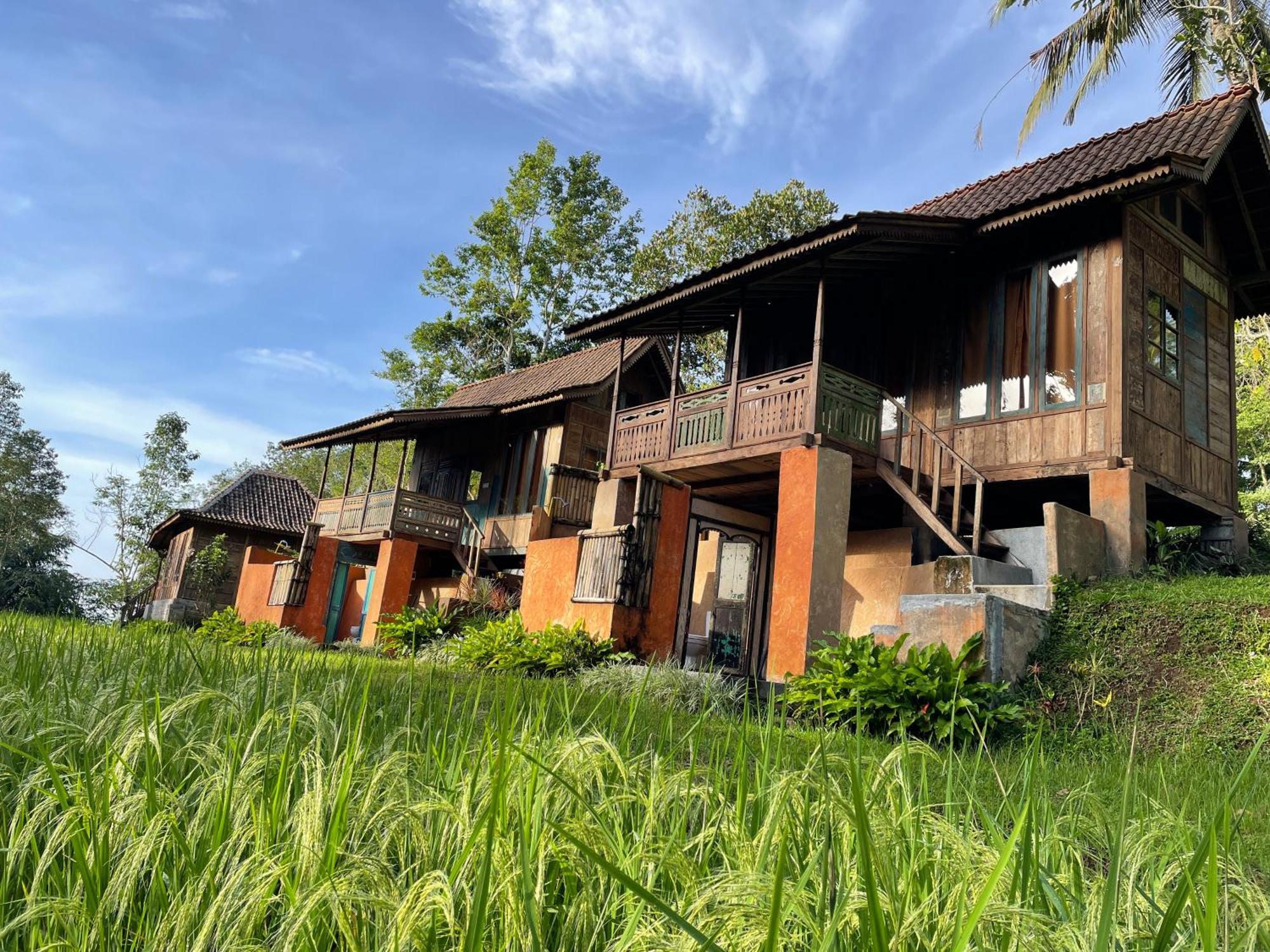 Oemah Tepi Sawah Villa Jatiluwih Exterior photo