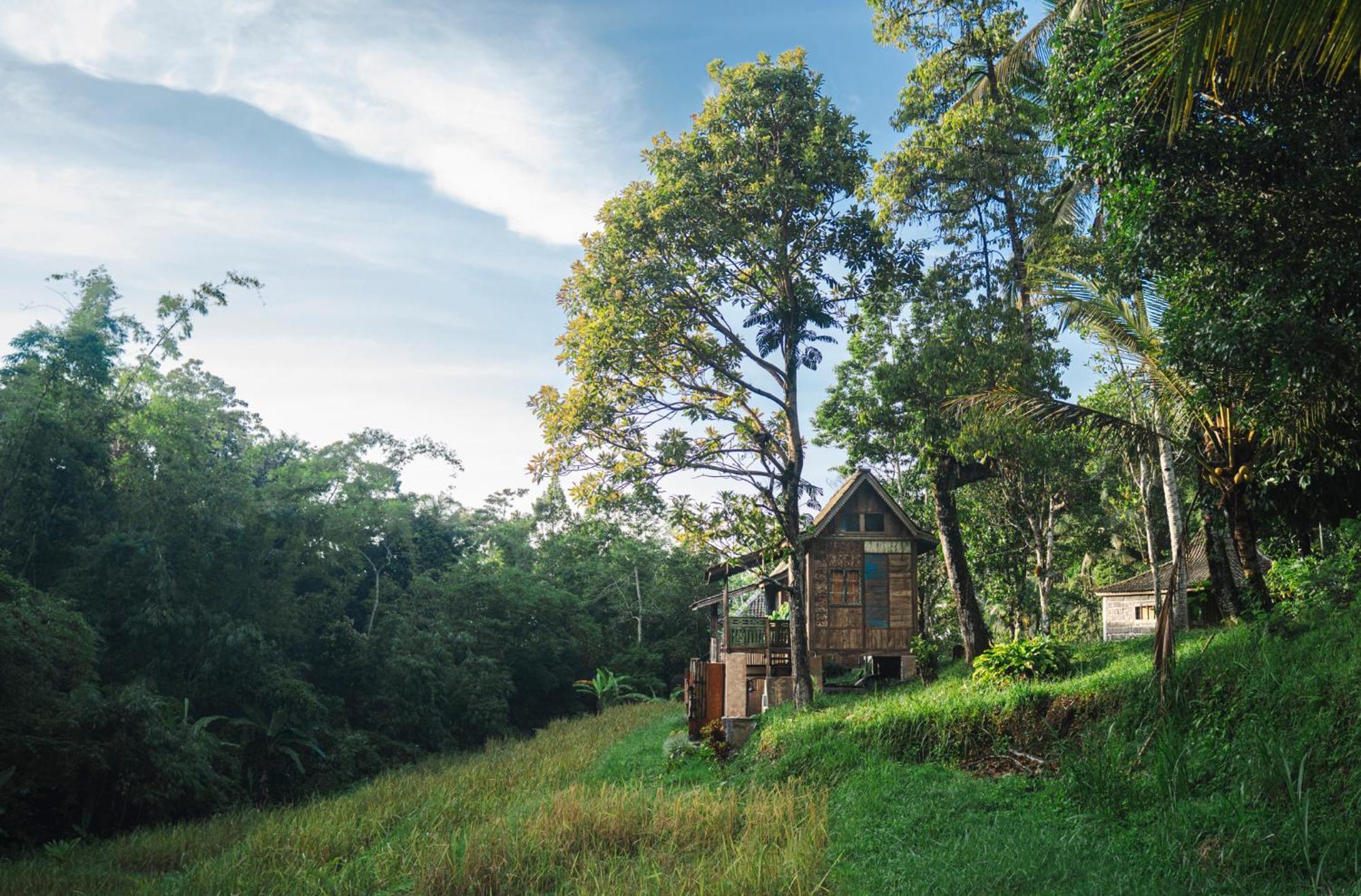 Oemah Tepi Sawah Villa Jatiluwih Exterior photo